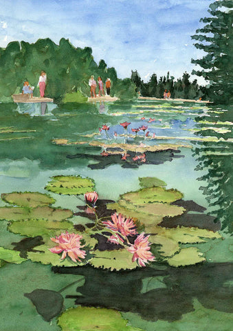 Denver Botanic Gardens Lily Pond