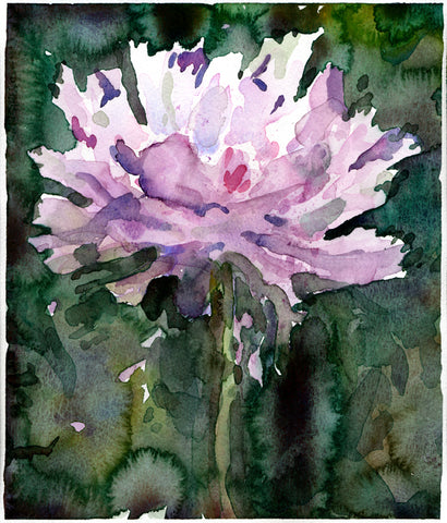 Peony in Pink