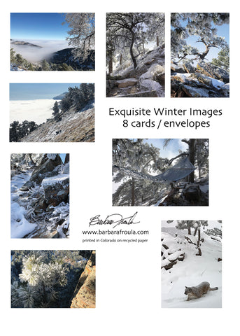 Box of 8 Assorted Exquisite Winter notecards